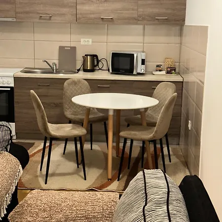 Viktor Appartement *